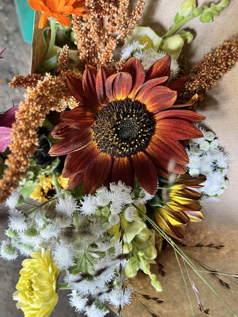 Bouquet de fleurs fraîches de Terre de couleurs